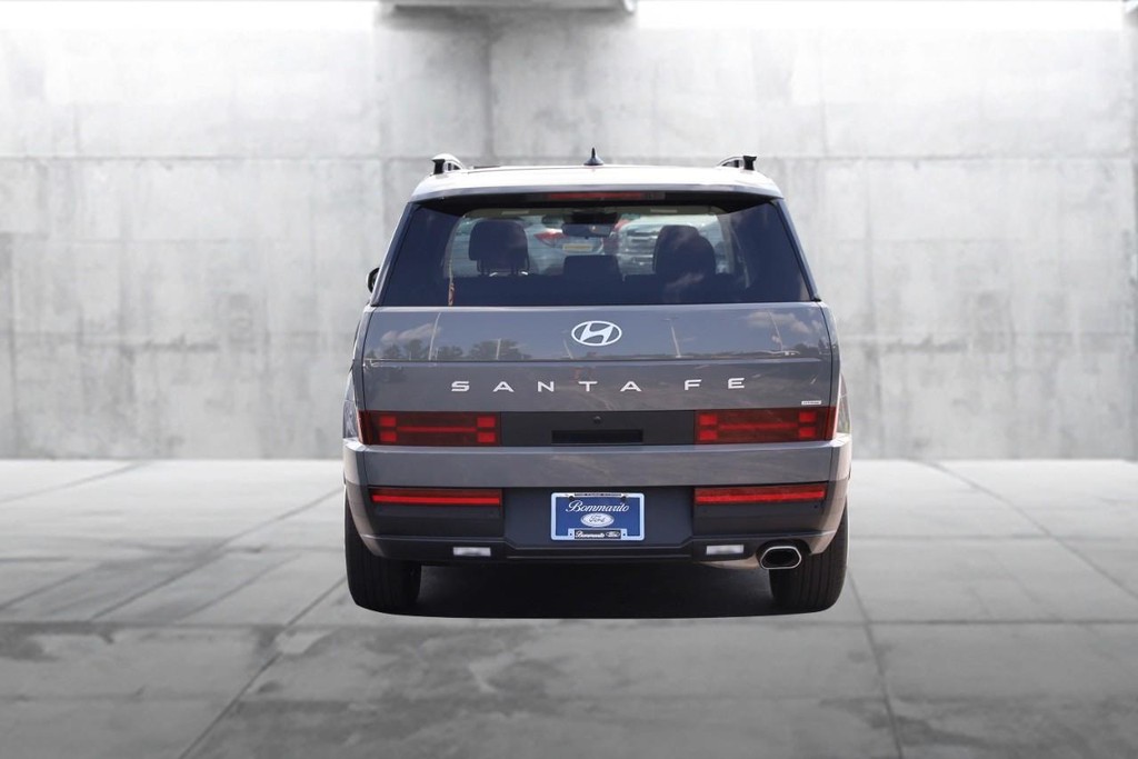 Hyundai Santa Fe Vehicle Image 06