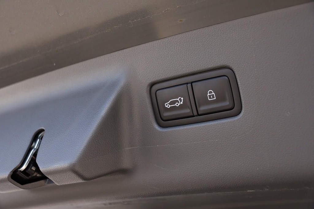 Hyundai Santa Fe Vehicle Image 09