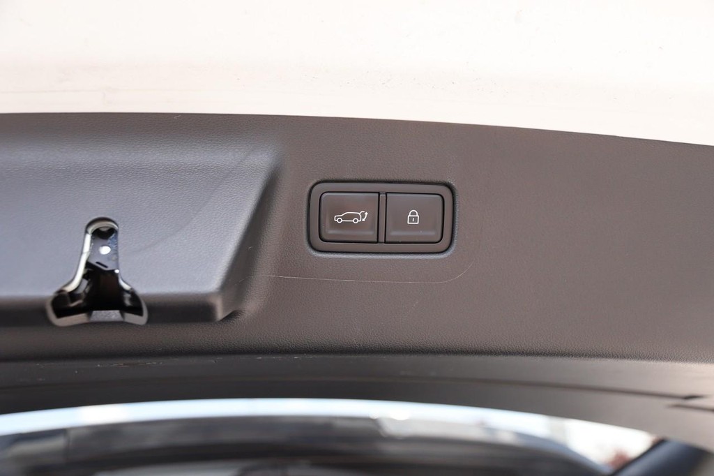 Hyundai Santa Fe Vehicle Image 08