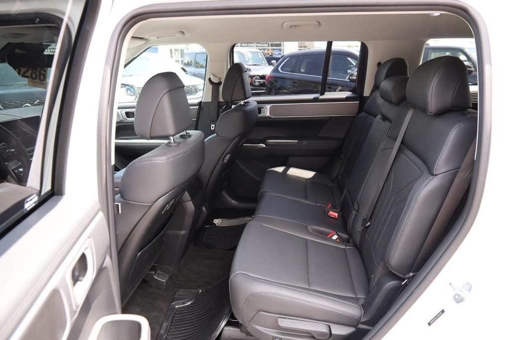 Hyundai Santa Fe Vehicle Image 10