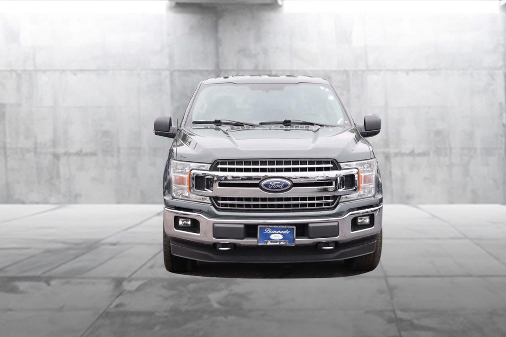 Ford F-150 Vehicle Image 04