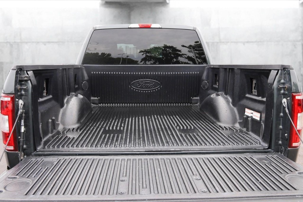 Ford F-150 Vehicle Image 07