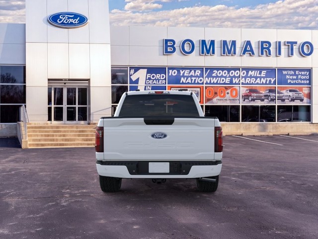 Ford F-150 Vehicle Image 05