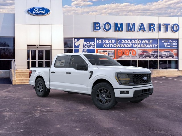 Ford F-150 Vehicle Image 07