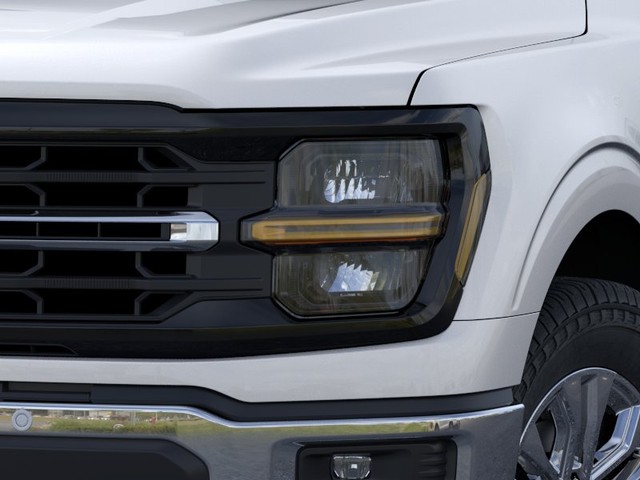 Ford F-150 Vehicle Image 18