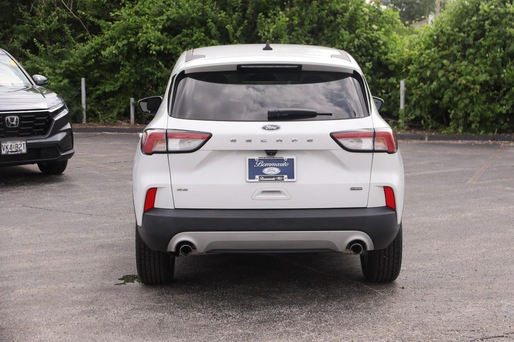 Ford Escape Vehicle Image 06