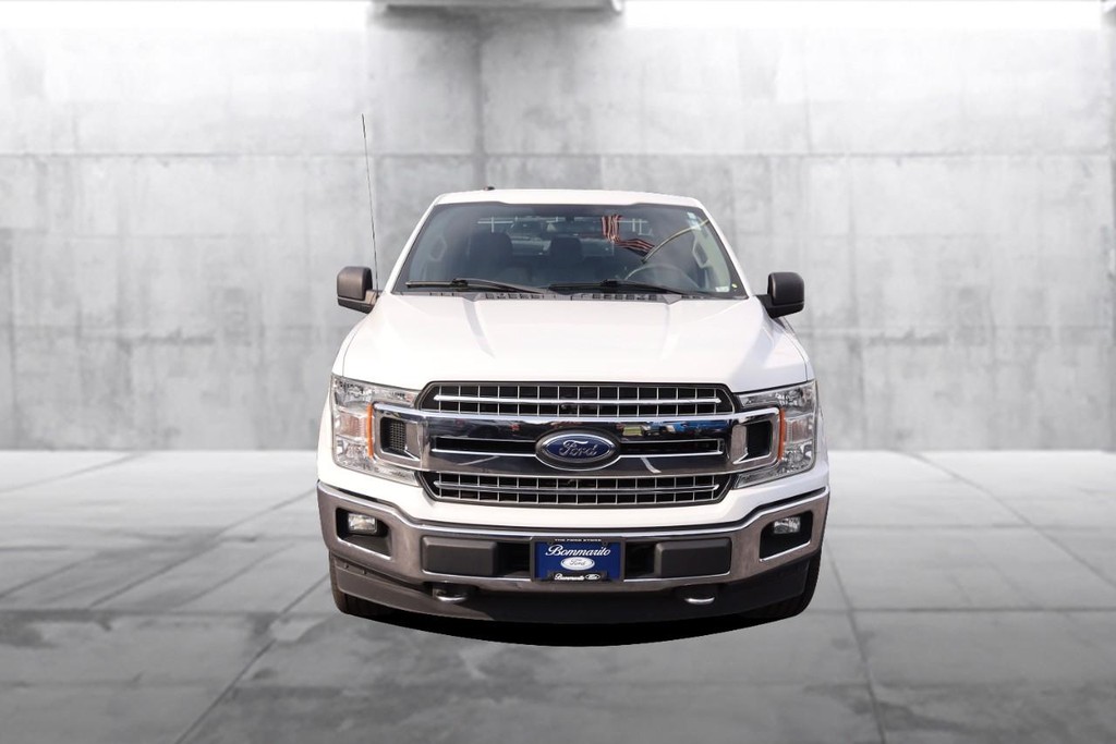 Ford F-150 Vehicle Image 04