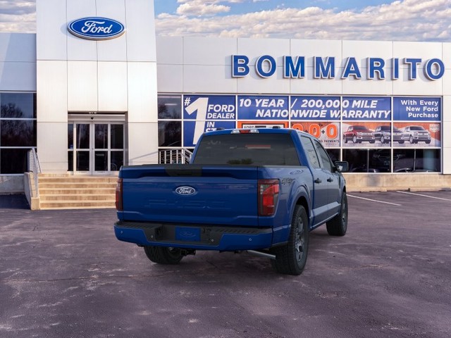 Ford F-150 Vehicle Image 08