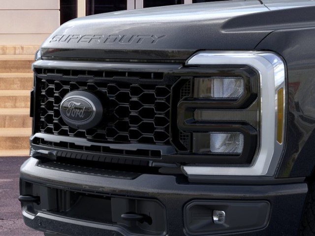 Ford Super Duty F-250 SRW Vehicle Image 17