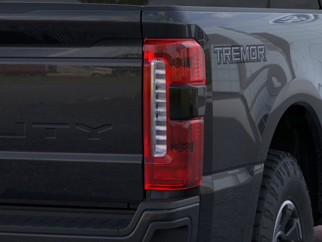 Ford Super Duty F-250 SRW Vehicle Image 21