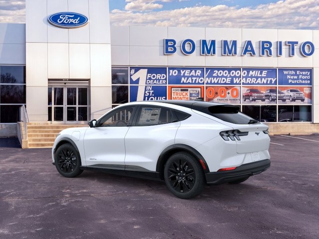 Ford Mustang Mach-E Vehicle Image 04