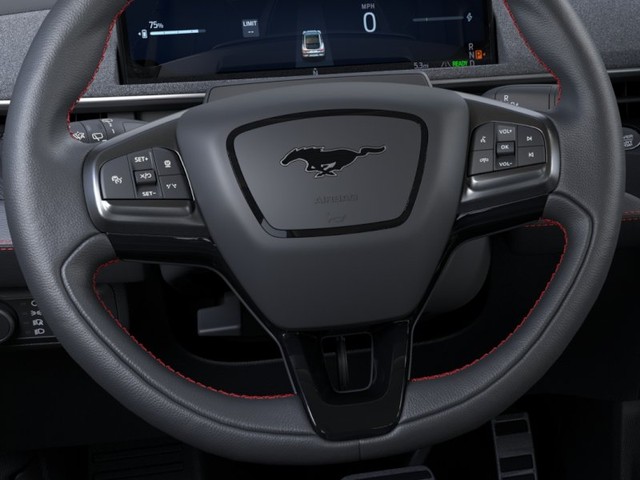 Ford Mustang Mach-E Vehicle Image 12