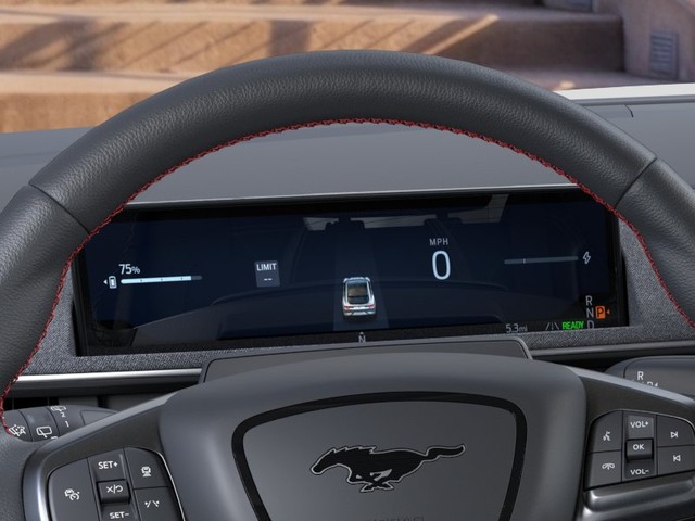 Ford Mustang Mach-E Vehicle Image 13