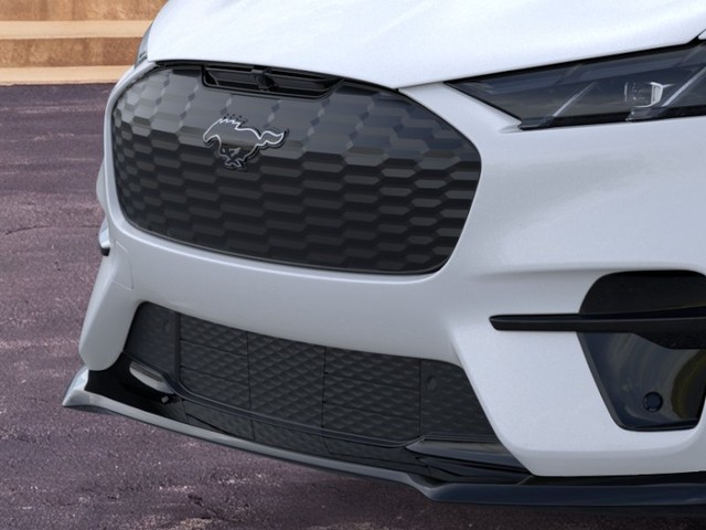 Ford Mustang Mach-E Vehicle Image 17