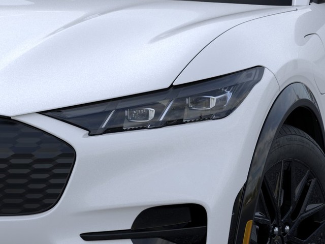Ford Mustang Mach-E Vehicle Image 18