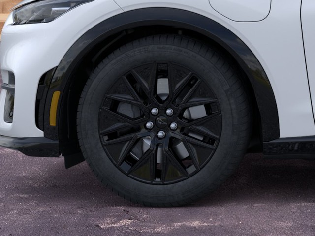 Ford Mustang Mach-E Vehicle Image 19