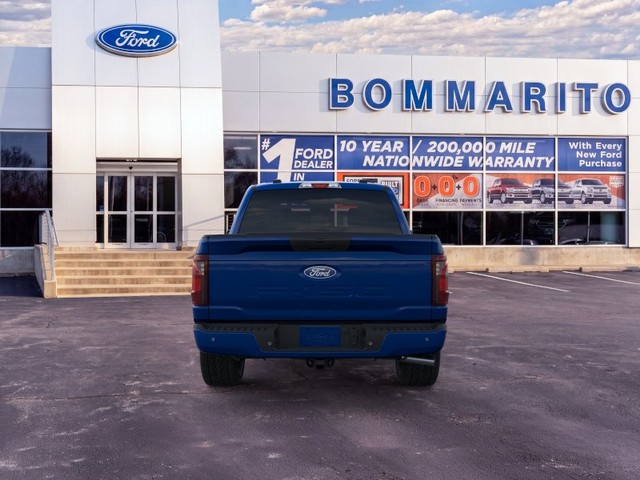 Ford F-150 Vehicle Image 05