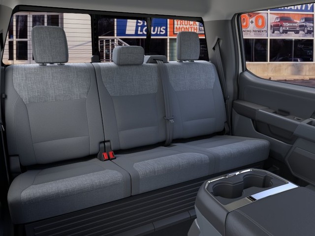 Ford Super Duty F-250 SRW Vehicle Image 11