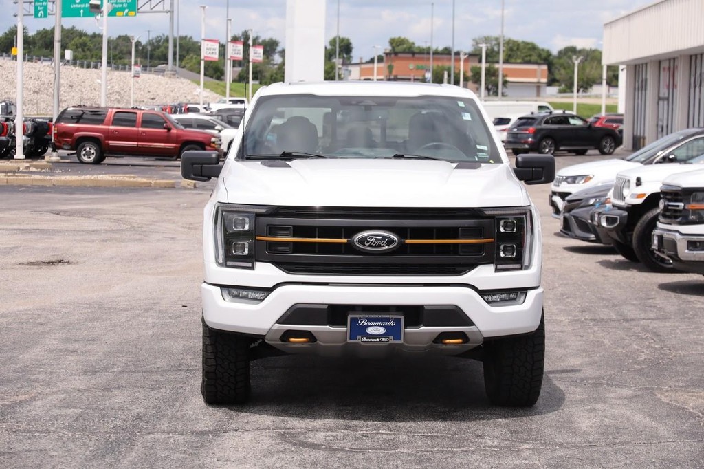 Ford F-150 Vehicle Image 04