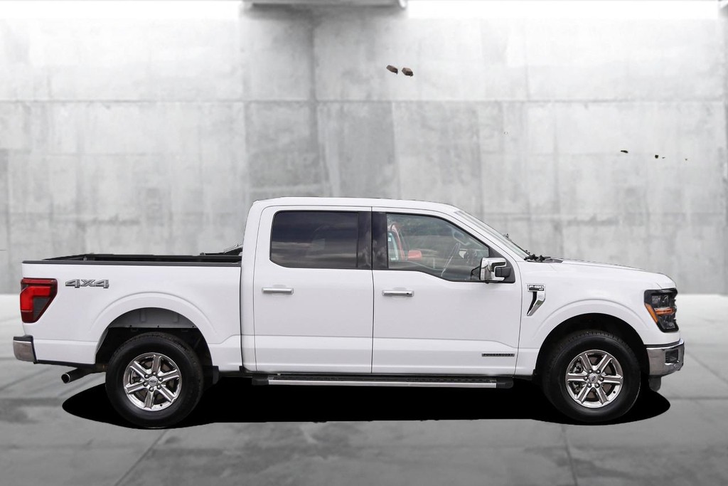 Ford F-150 Vehicle Image 04