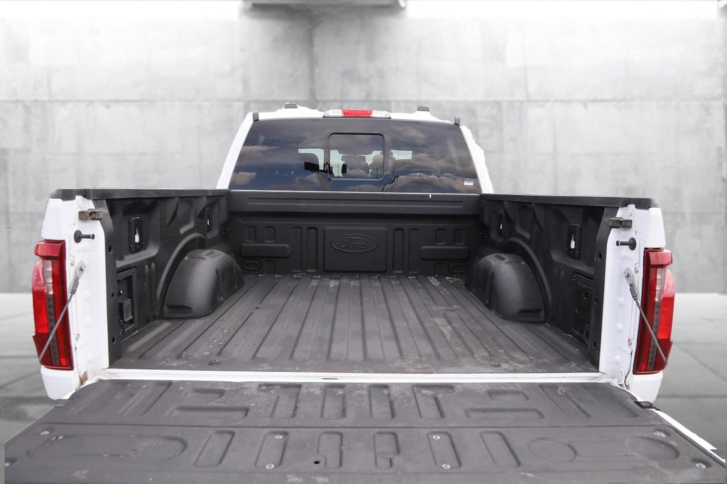 Ford F-150 Vehicle Image 05
