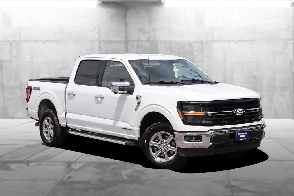 Ford F-150 Vehicle Image 06