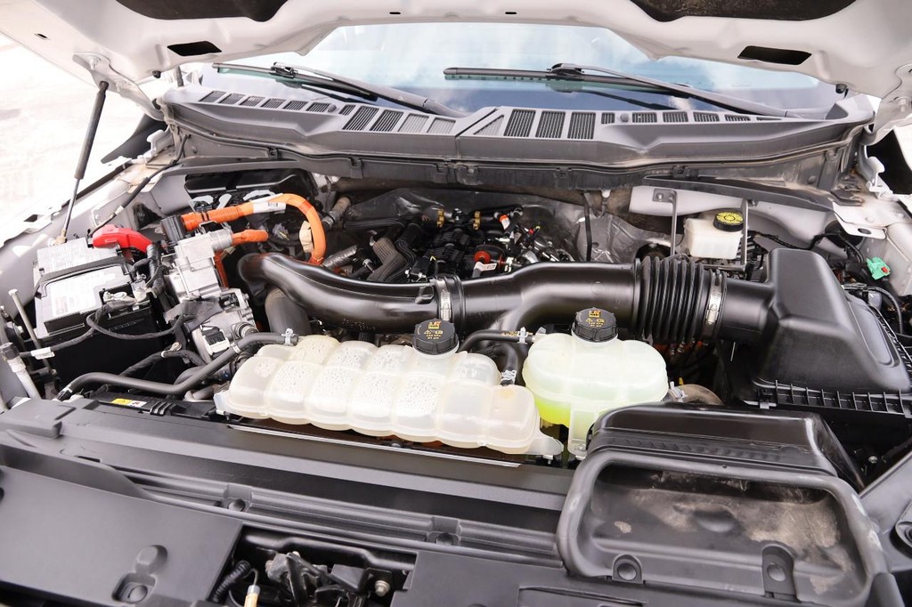 Ford F-150 Vehicle Image 28