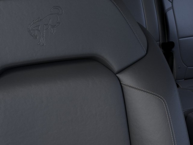 Ford Bronco Vehicle Image 18