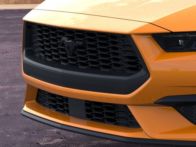 Ford Mustang Vehicle Image 17
