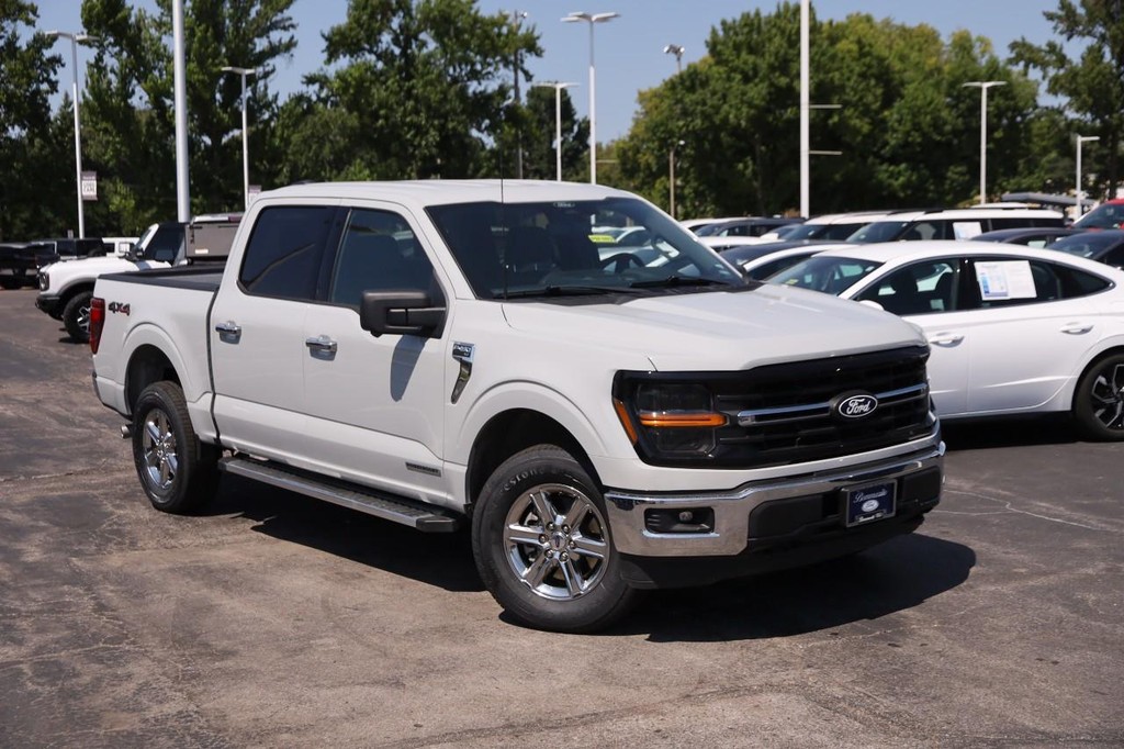 Ford F-150 Vehicle Image 02