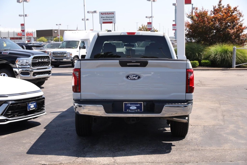 Ford F-150 Vehicle Image 06