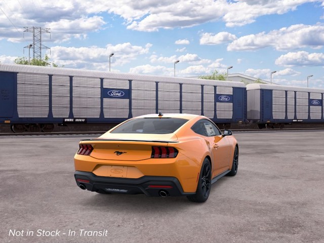 Ford Mustang Vehicle Image 08