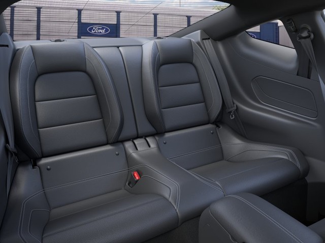 Ford Mustang Vehicle Image 11