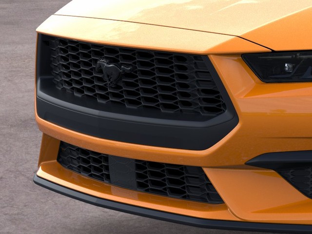 Ford Mustang Vehicle Image 17