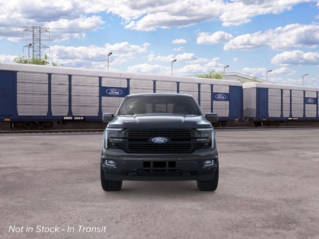 Ford F-150 Vehicle Image 06