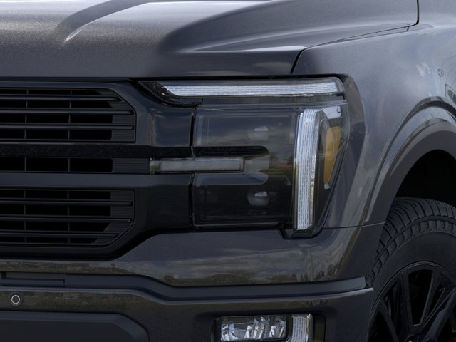 Ford F-150 Vehicle Image 18
