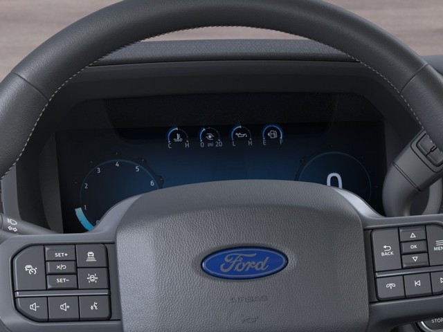 Ford F-150 Vehicle Image 13