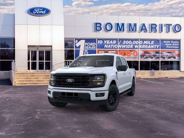 Ford F-150 Vehicle Image 02