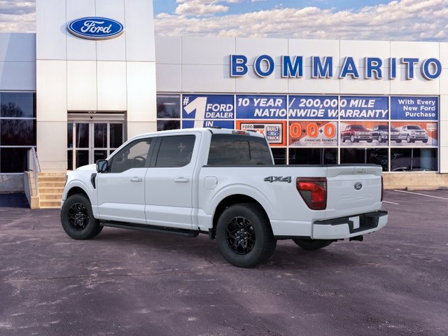 Ford F-150 Vehicle Image 04