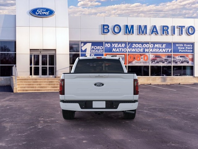 Ford F-150 Vehicle Image 05