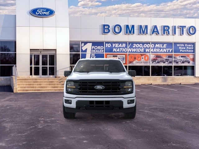 Ford F-150 Vehicle Image 06