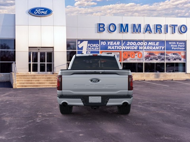Ford F-150 Vehicle Image 05