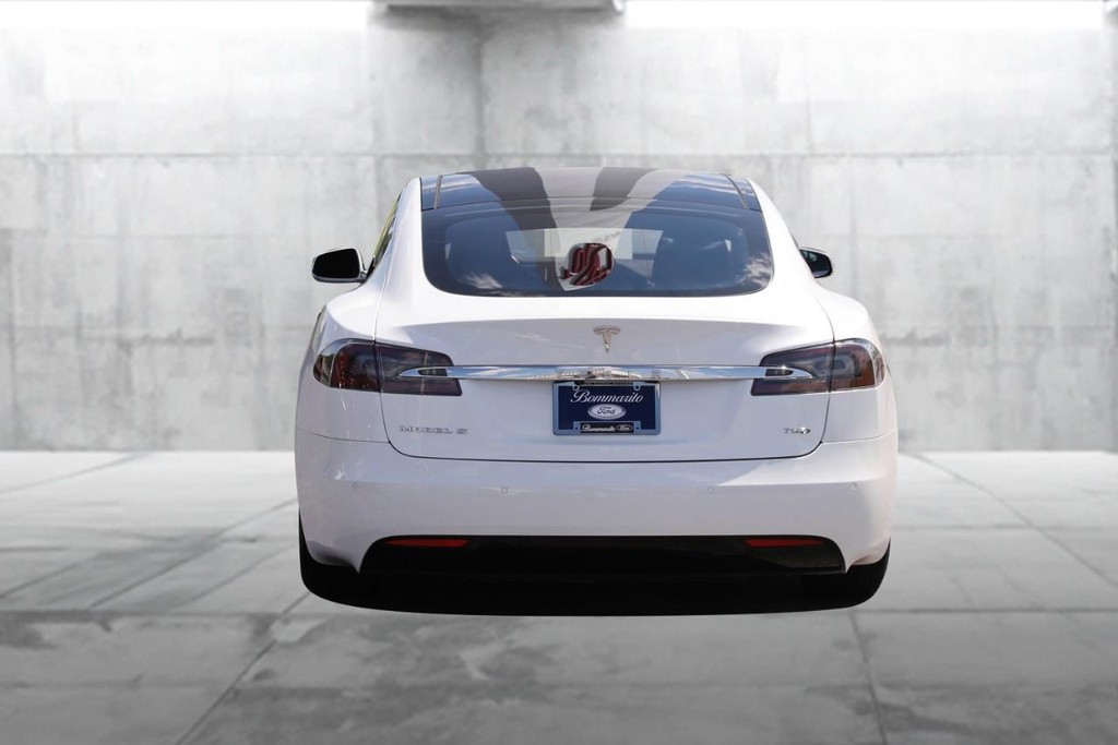 Tesla Model S Vehicle Image 11