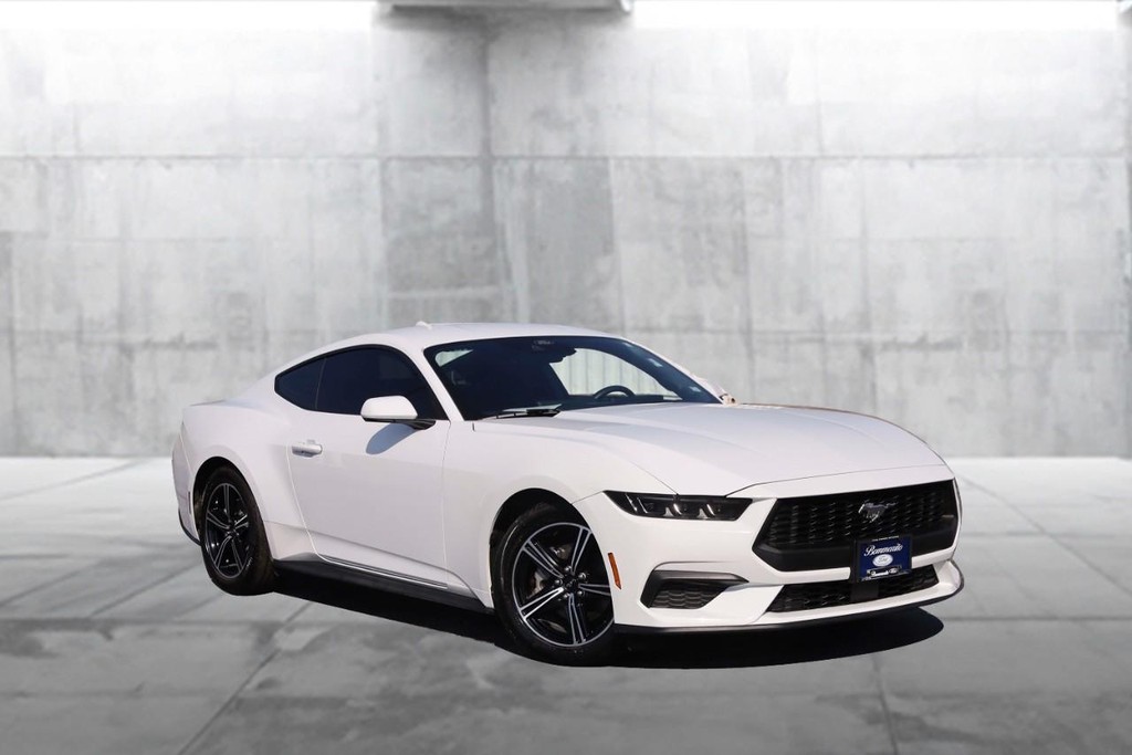 Ford Mustang Vehicle Image 02