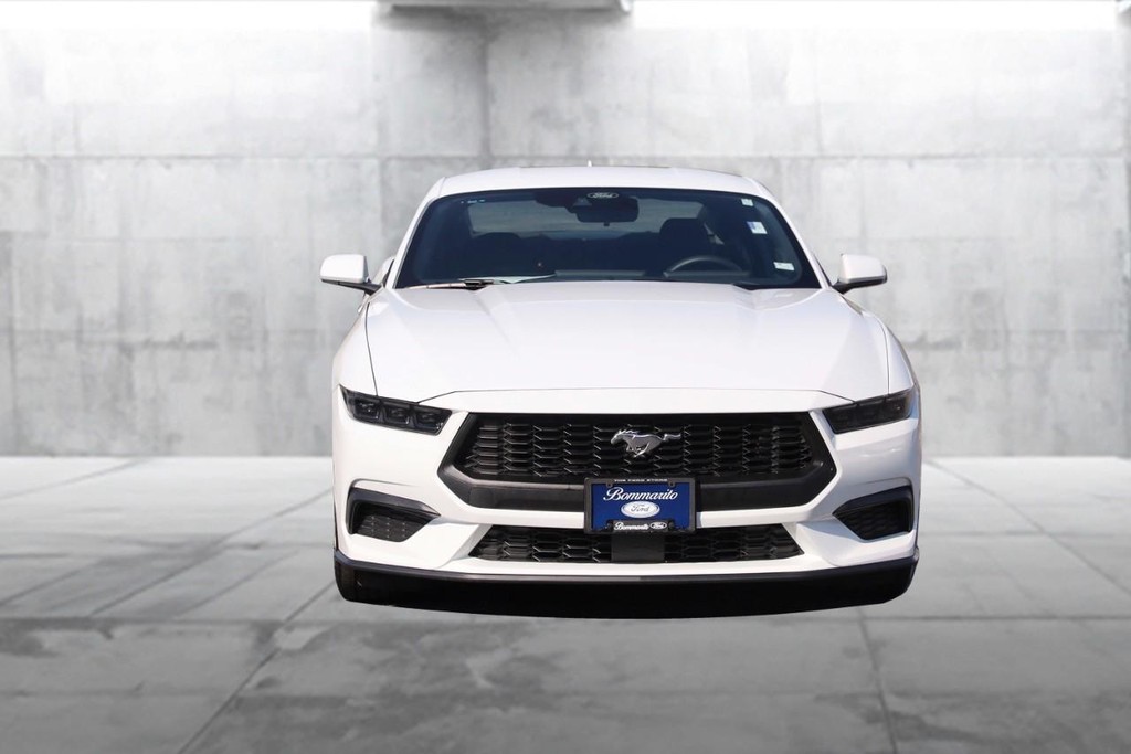 Ford Mustang Vehicle Image 04