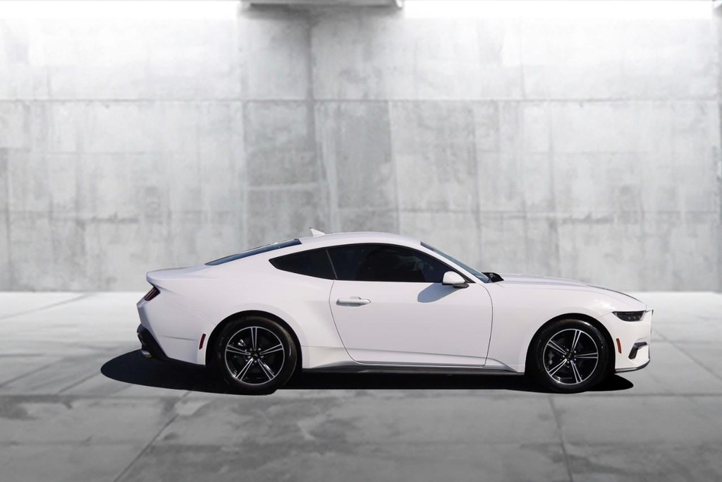 Ford Mustang Vehicle Image 05
