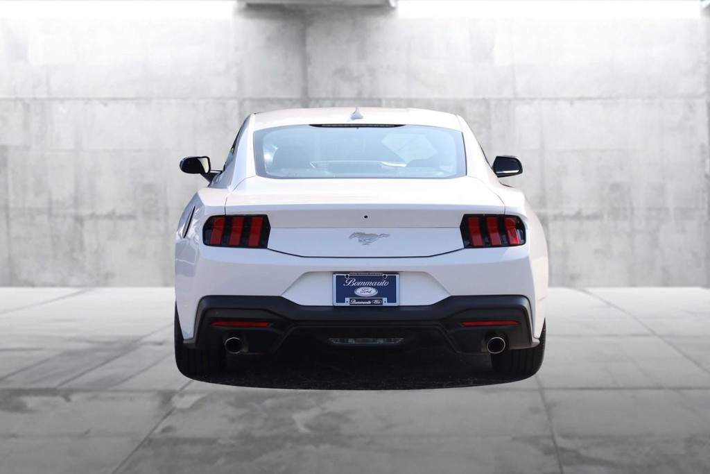 Ford Mustang Vehicle Image 06