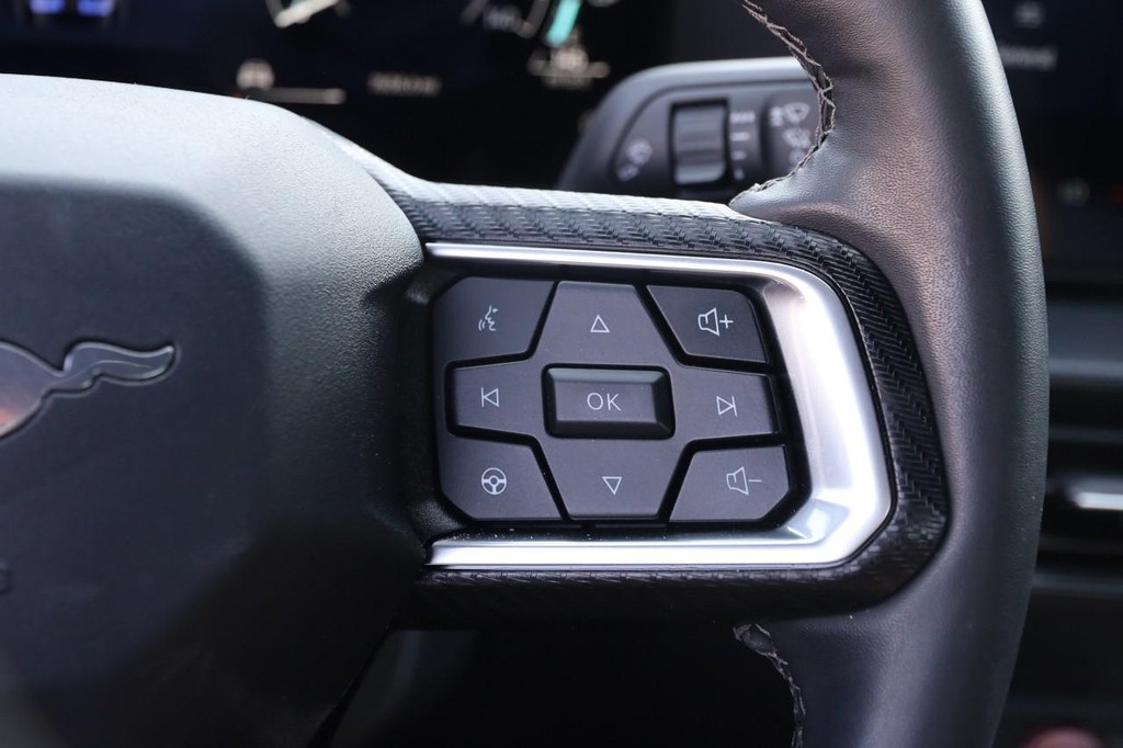 Ford Mustang Vehicle Image 12