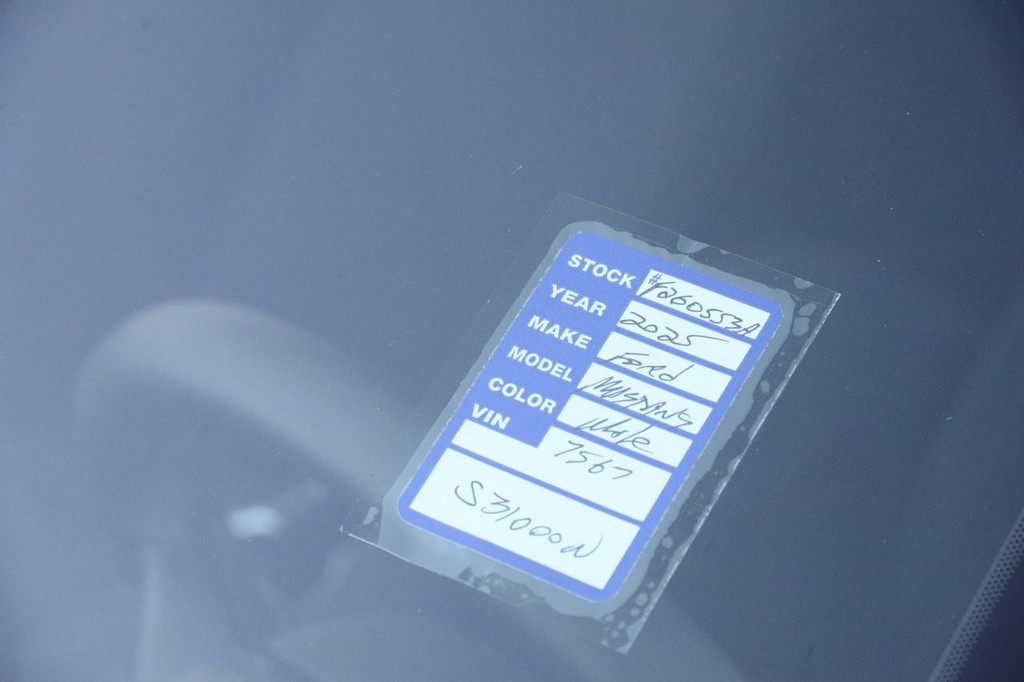 Ford Mustang Vehicle Image 26