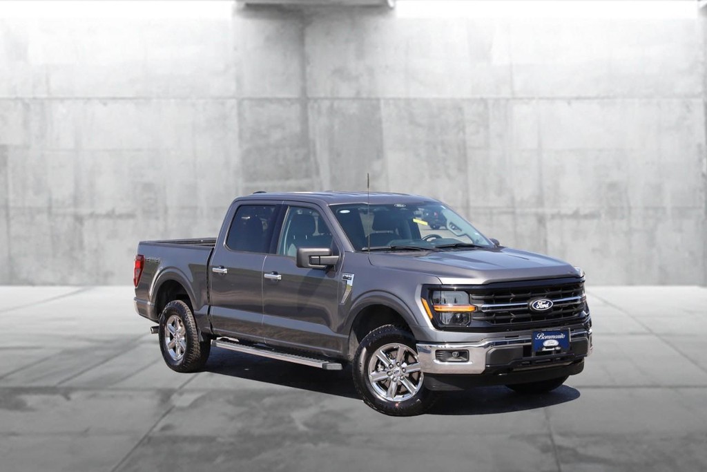 Ford F-150 Vehicle Image 02